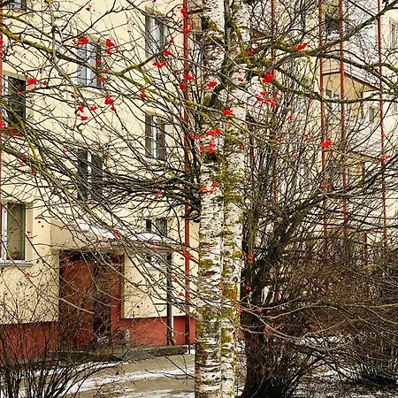 Apartment Cozy Near Kadriorg, Airport 2 Km *